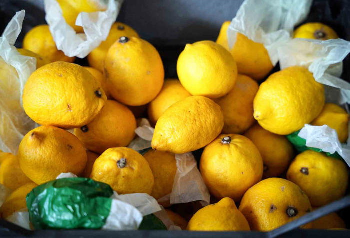 i̇stanbul’da limonun tanesi 10 tl’ye dayandı, ağustos’tan itibaren gerileme bekleniyor