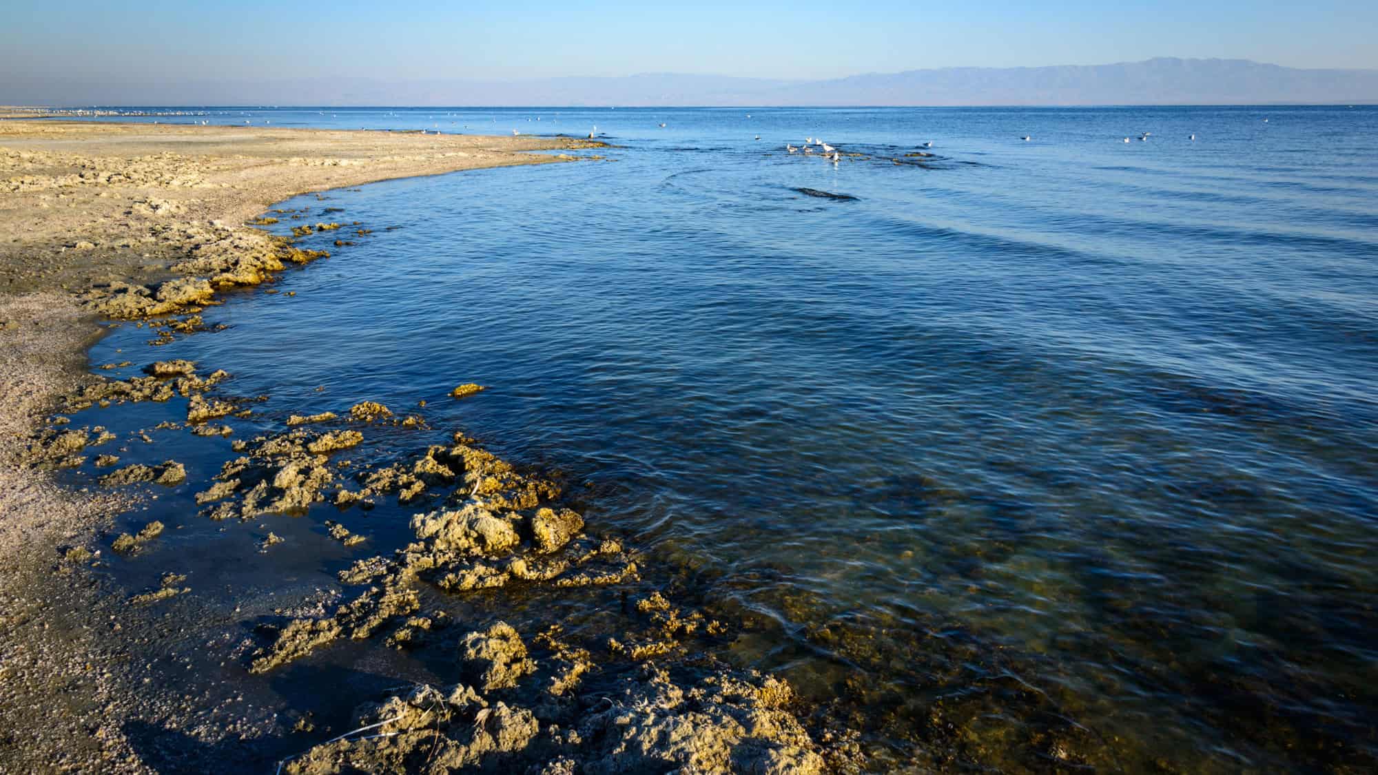 <p>Salton Sea – sounds serene, right? Wrong. Dip a toe in this salty mess, and you’ll regret it quicker than agreeing to a 7 AM meeting. <strong>This inland sea is hyper-saline</strong>, basically meaning it’s salty enough to pickle you, and it’s also a toxic soup of agricultural runoff. </p> <p>Fish die-offs are as common as bad weather forecasts, and decomposing bodies emit hydrogen sulfide, making the air smell like rotten eggs. Add in the occasional algae bloom, turning the waters into a neon green nightmare, and you’ve got yourself one heck of a disastrous dip location.</p>