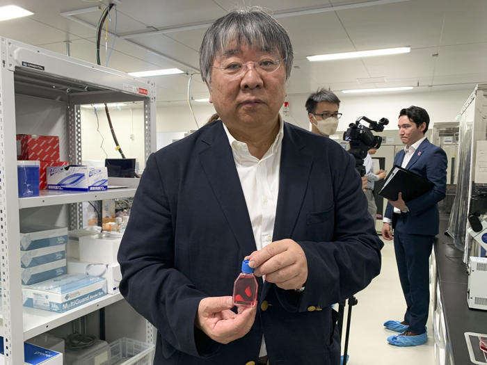 láminas de células creadas en japón podrían regenerar corazones con insuficiencia