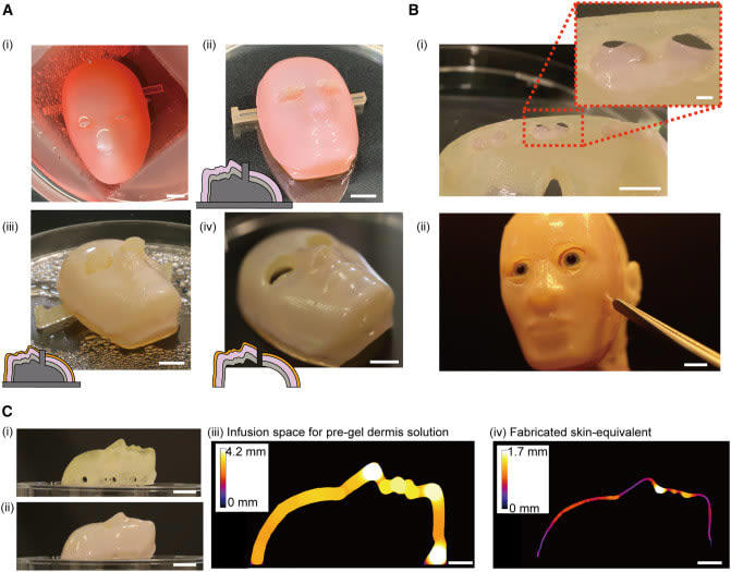 real-life terminators: scientists develop skin for robots and teach them to smile