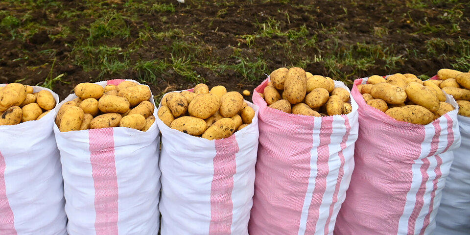 200 kartoffel-säcke aus spendenbox gestohlen