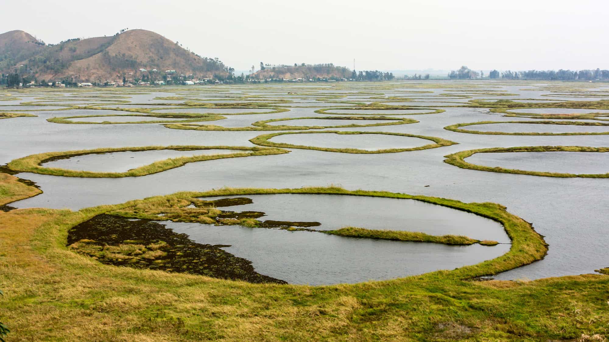 <p>Loktak Lake might look serene with its iconic floating islands, called Phumdi, but don’t be fooled. This place is a treacherous labyrinth, especially during monsoon season when the water level surges unpredictably. The lake’s currents beneath those islands are about as predictable as winning the lottery, and they can trap and capsize boats with casual ease. </p> <p>To top it off, the dense patches of floating vegetation hide these dangers from plain sight, making navigation a nightmare. Plus, <strong>the thick reeds can entangle swimmers</strong> faster than a web of lies, making every dip more dangerous than it initially appears.</p>