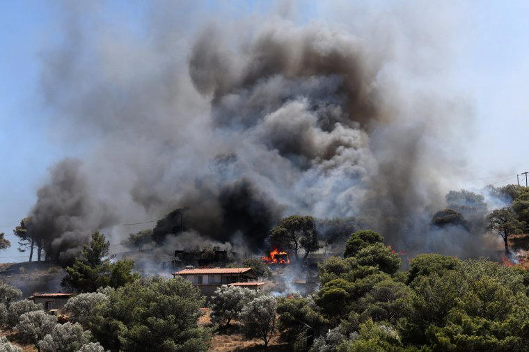 tourists evacuated from hotels as wildfires tear through greek islands