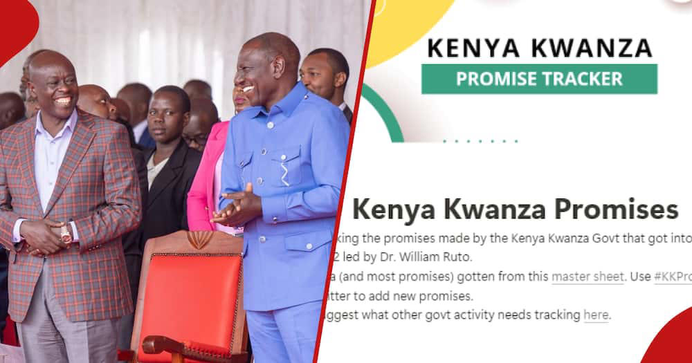 kenyans create website tracking over 350 gov't promises by ruto and kenya kwanza politicians