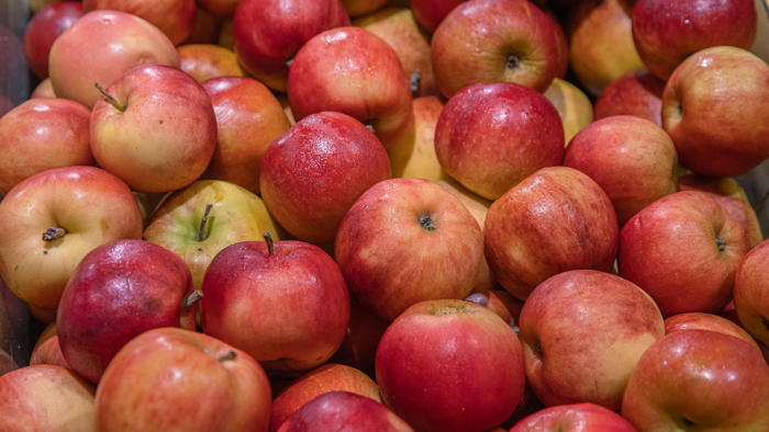 niemcy mają problem z polskimi jabłkami. za ładne i za tanie
