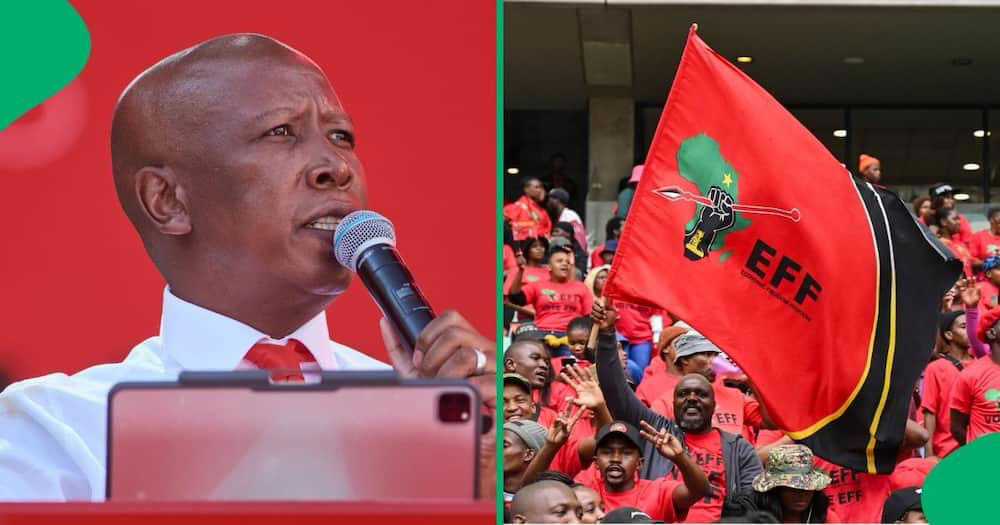 eff demands end to virtual parliament and south africans trolled the party