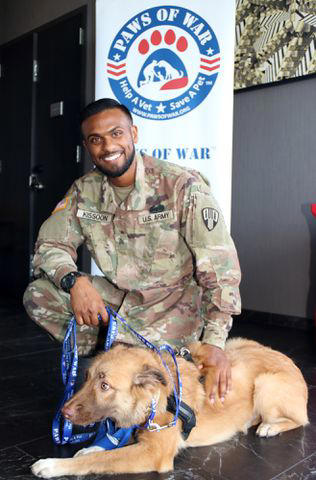 soldiers reunite with stray dogs they fell in love with during deployment and are now adopting as pets