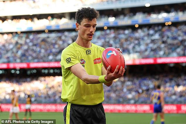 afl chief executive andrew dillon makes bold umpire call despite category of howlers that have left fans raging
