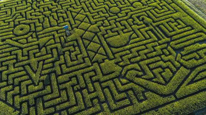 físicos criam o labirinto mais 'diabolicamente' difícil do mundo