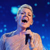 Pink ‘unable to continue’ with show, cancels day before concert on doctor’s orders<br>