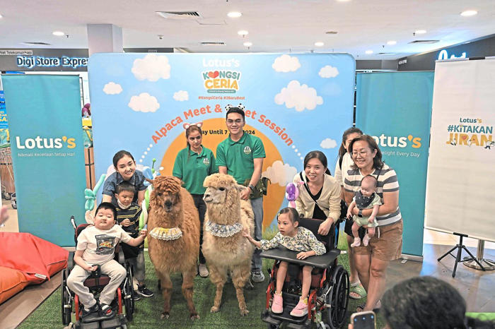 alpacas star attraction at retailer’s second anniversary