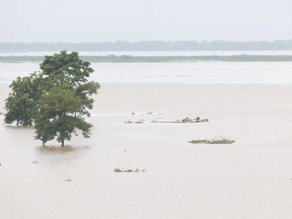 assam flood death toll stands at 38 as three drown in last 24 hours