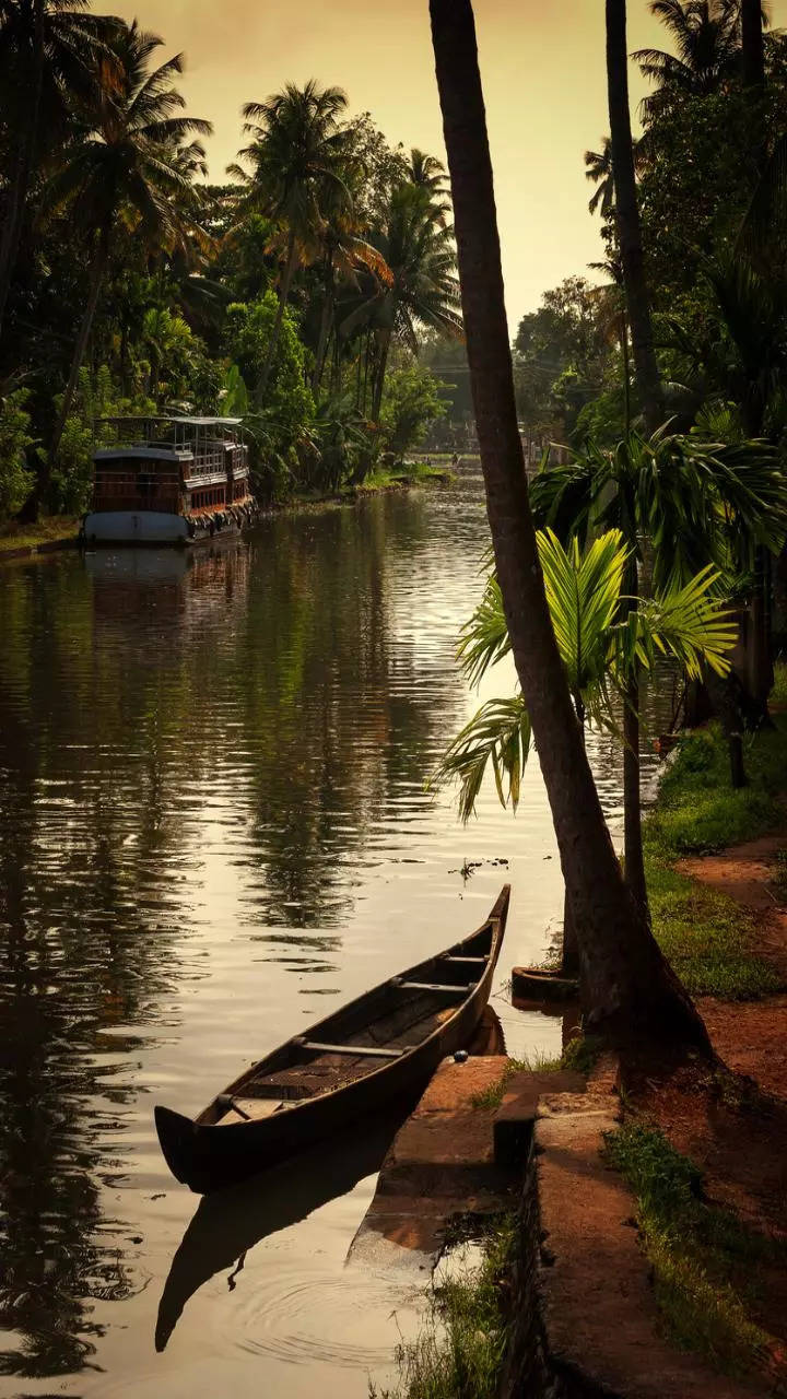 <p>Alleppey is noted for its pretty backwaters. It is a popular destination for houseboat cruises and known for its network of canals, lakes, and lagoons offering a unique experience of Kerala's rural life.</p>