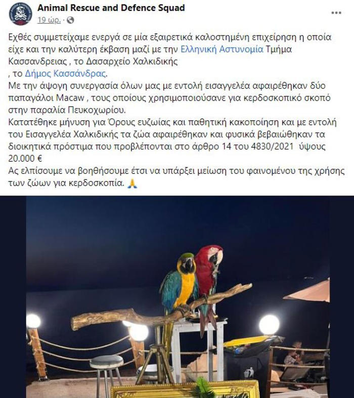 χαλκιδική: πρόστιμο €20.000 σε ιδιοκτήτη ξενοδοχείου που χρησιμοποιούσε παπαγάλους ως «κράχτες»