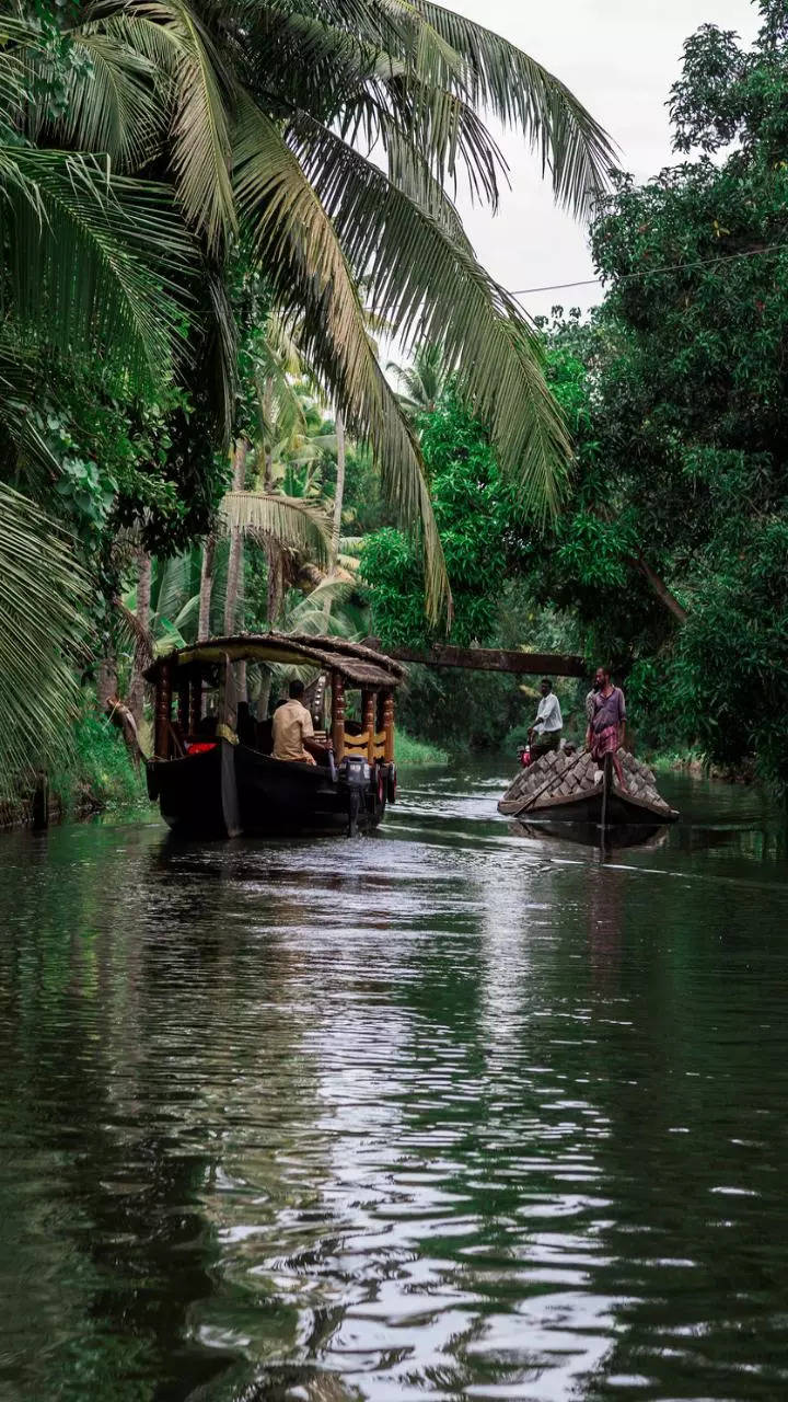 <p>Another enchanting backwater destination in Kerala is Kumarakom. The place is known for its bird sanctuary where you can spot various migratory birds. Houseboats here offer a peaceful retreat amidst nature.</p>
