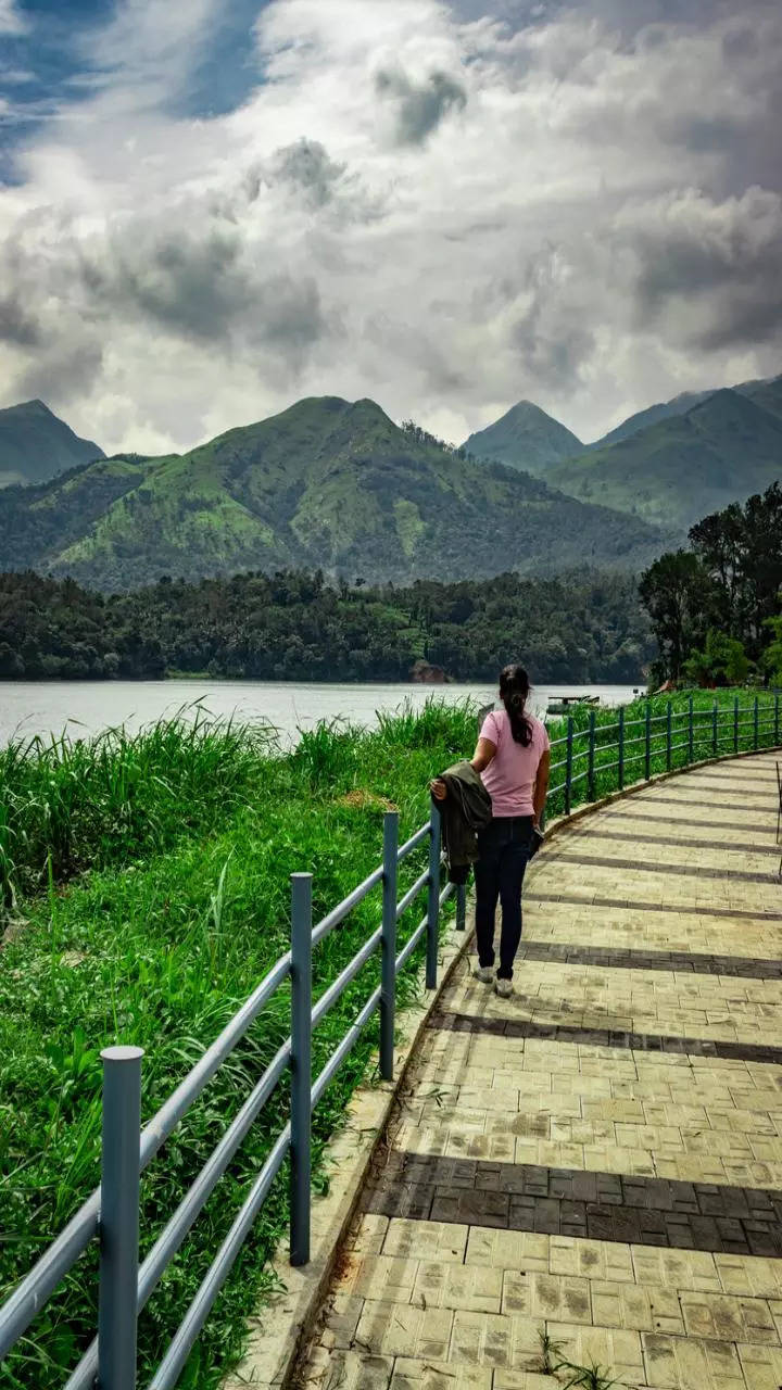 <p>A stunning hill station with lush green forests, waterfalls, and spice plantations. Wayanad offers opportunities for trekking, wildlife safari at Tholpetty Wildlife Sanctuary, and exploring ancient caves.</p>
