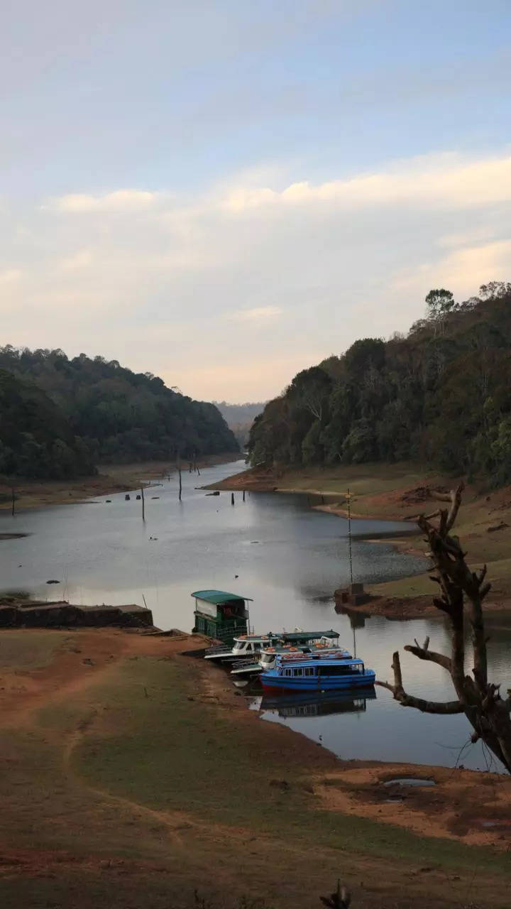 <p>Thekkady is noted for the Periyar National Park. The place is famous for its dense forests, elephant sightings, and boat safaris on Periyar Lake. A perfect spot for wildlife and nature lovers alike.</p>