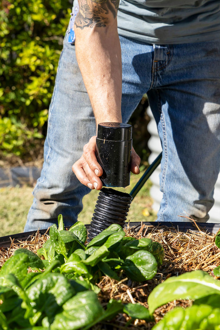 How to make a wicking garden bed