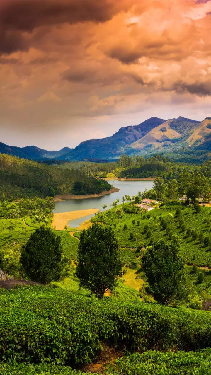 <p>Munnar is all about sprawling tea estates, misty mountains, and cool climate. It's a perfect destination in Kerala for those interested in trekking, nature walks, and wildlife spotting.</p>