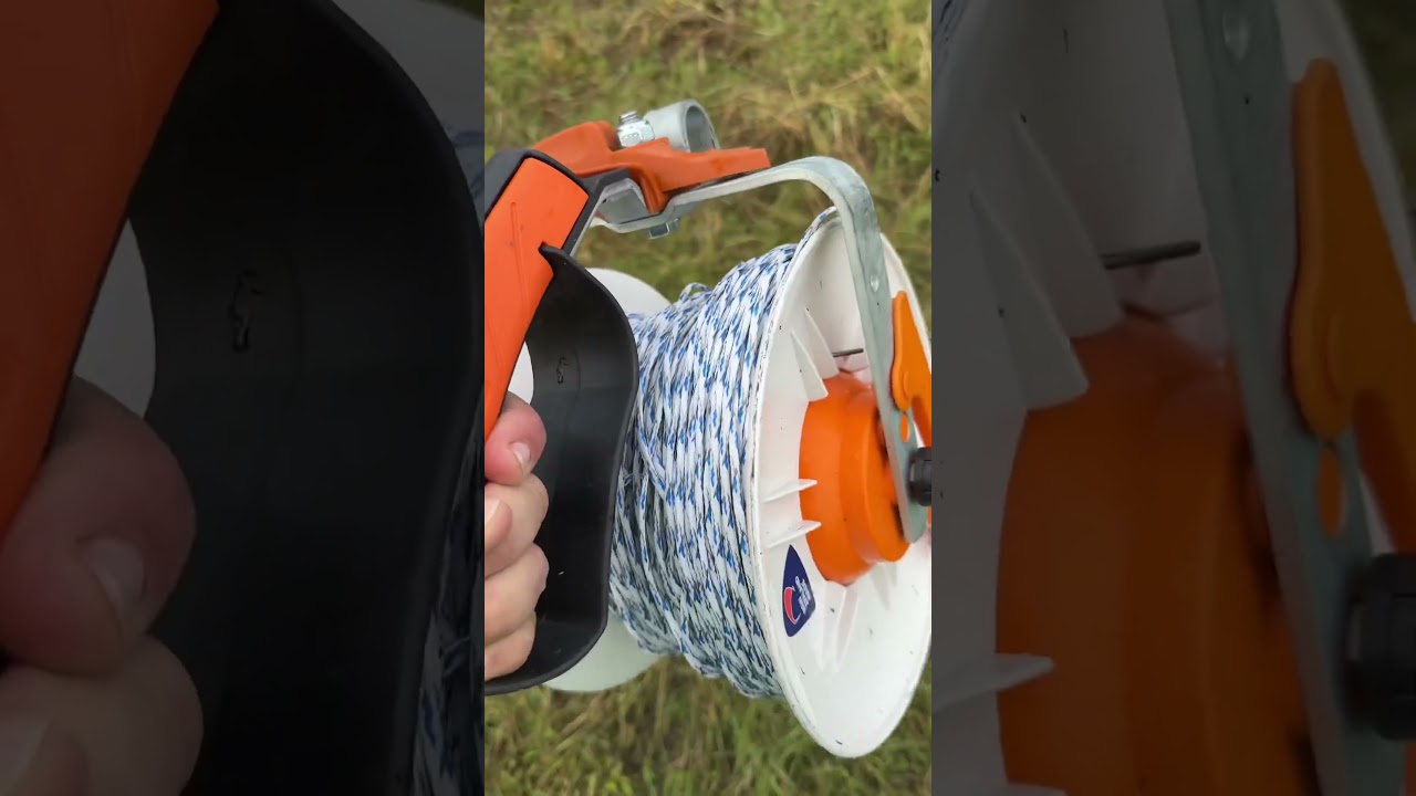 why-predators-matter