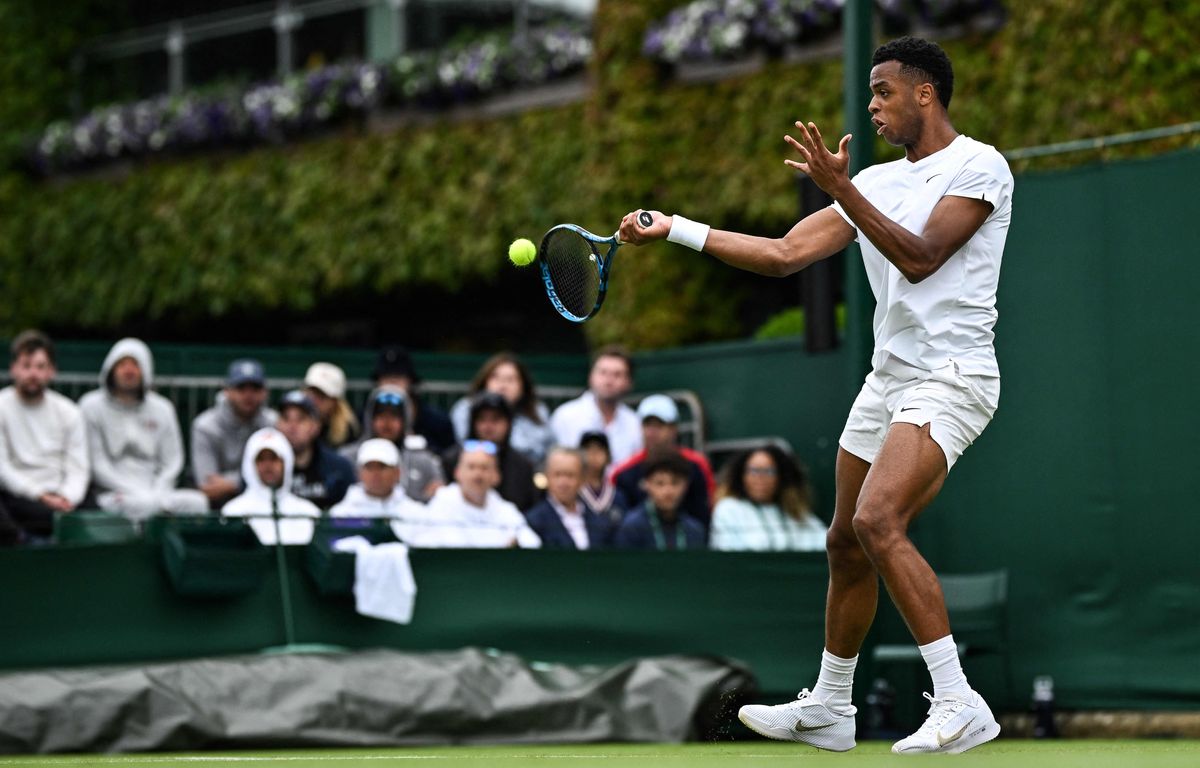 Wimbledon : 51 Aces Et Une Première En Grand Chelem Pour Le Bombardier ...