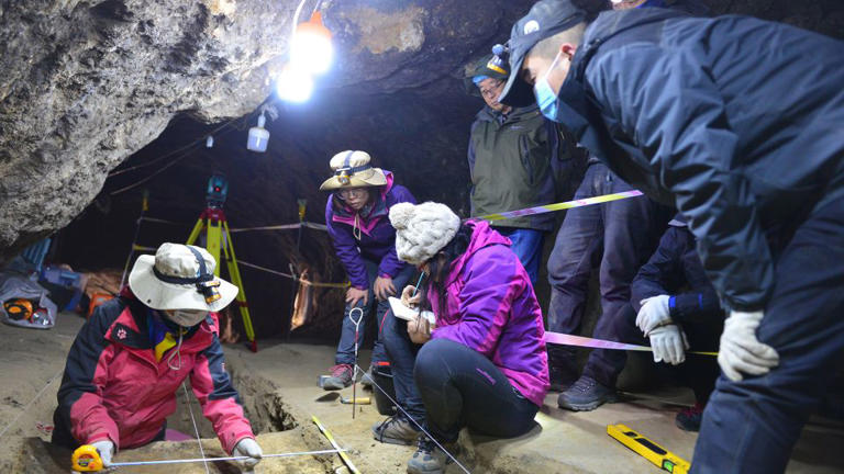 Analysis of bone fragments unearthed during excavations at Baishiya Karst Cave have revealed what animals Denisovans butchered, ate and processed. - Dongju Zhang’s group/Lanzhou University