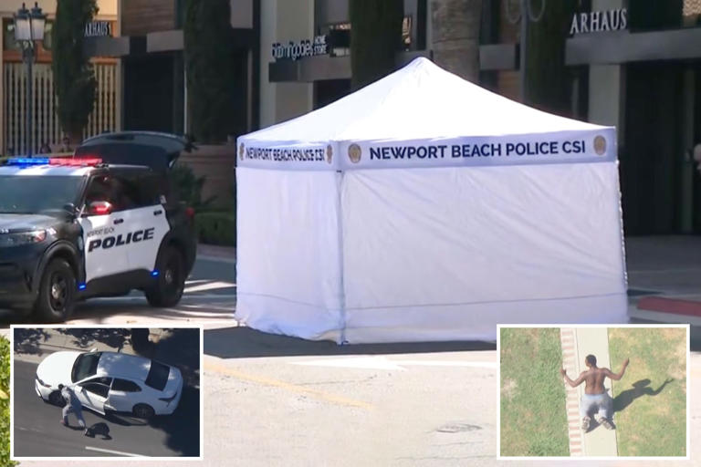 Elderly tourist run over, killed by armed robbers who dragged her through California mall: officials