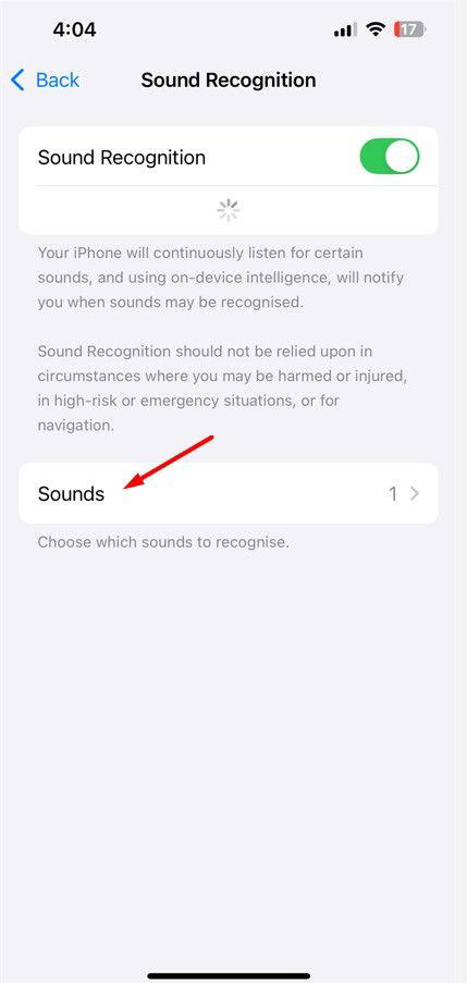 Sounds option in the Settings app.