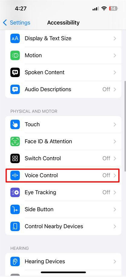 Voice Control option in the iPhone Settings app.