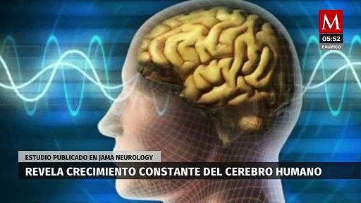 Estudio de la Universidad de California revela crecimiento constante del cerebro humano