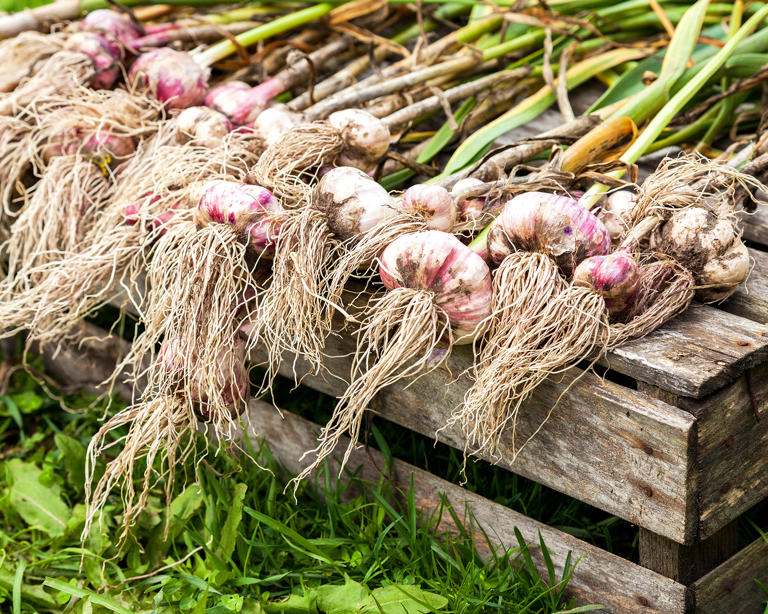 ((Image credit: Getty Images))