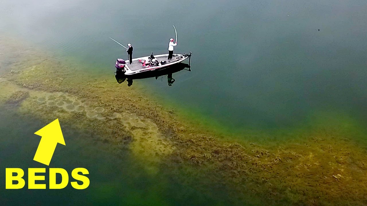 Discover Hidden Fishing Gems You - BB1prgu8.img