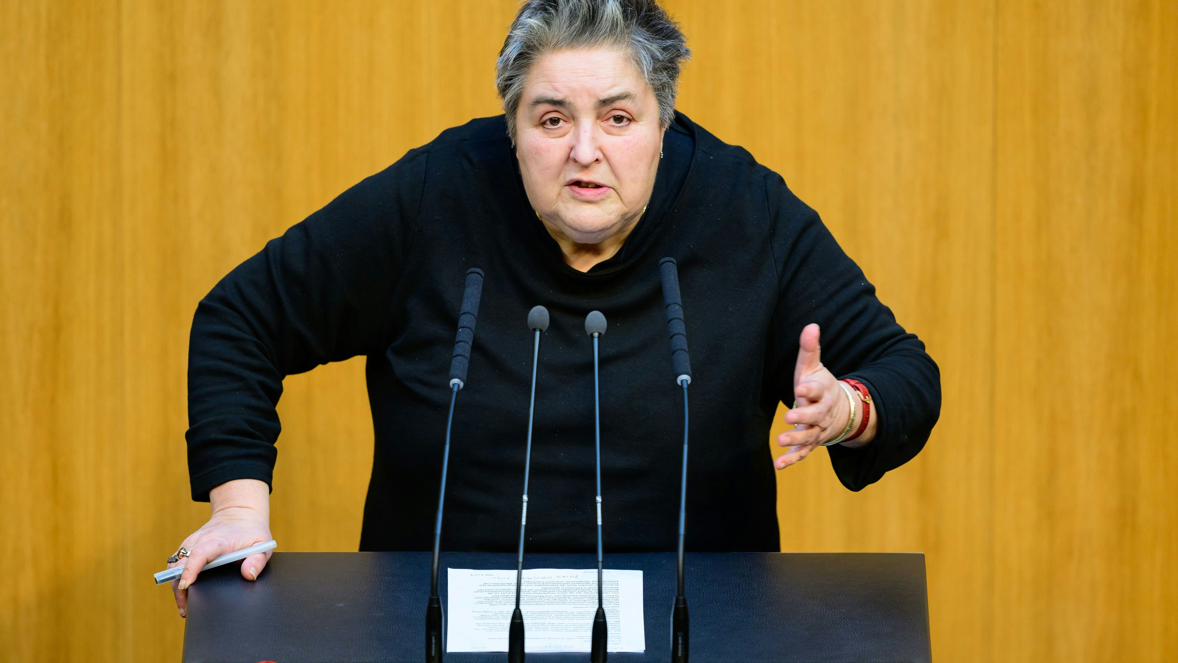 &amp;quot;Gulasch wichtiger als Aktien&amp;quot;: Grün-Forderung regt auf
