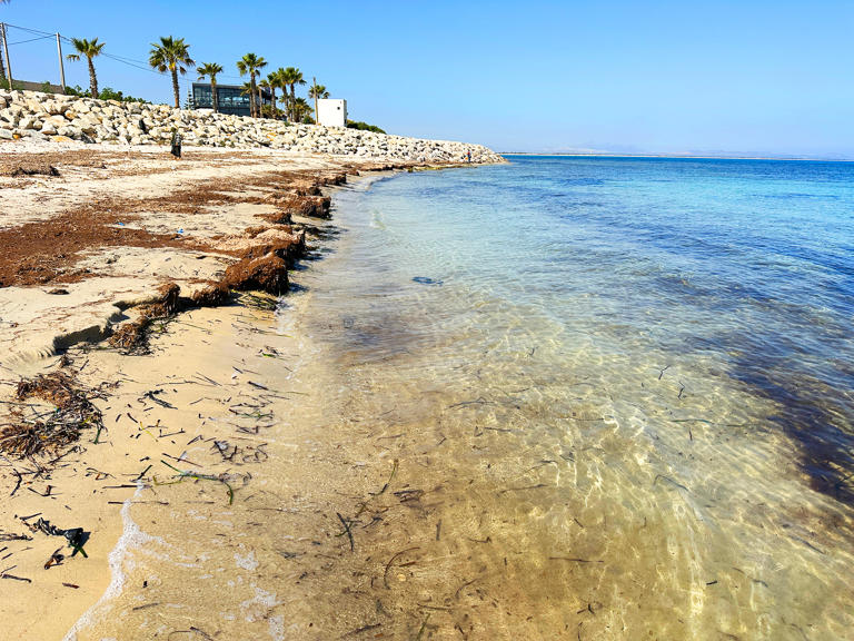 If you're looking for the best Tunisia beaches, you've come to the right place. Find information about how to get there and what to see.