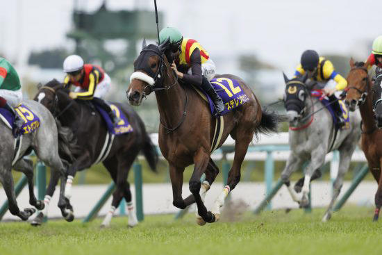 2歳新馬】ゴールドシップ産駒マイネルラウレアがデビュー勝ち
