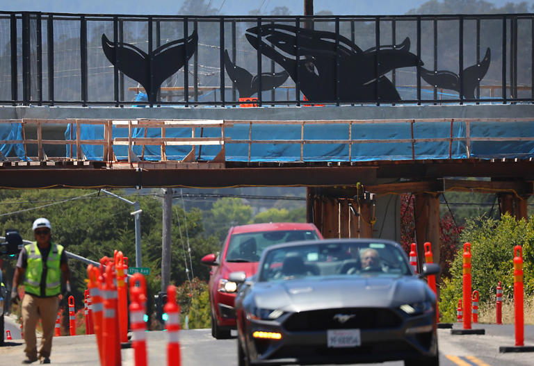 Photo | Metal whale sculptures added to overcrossing of Highway 1