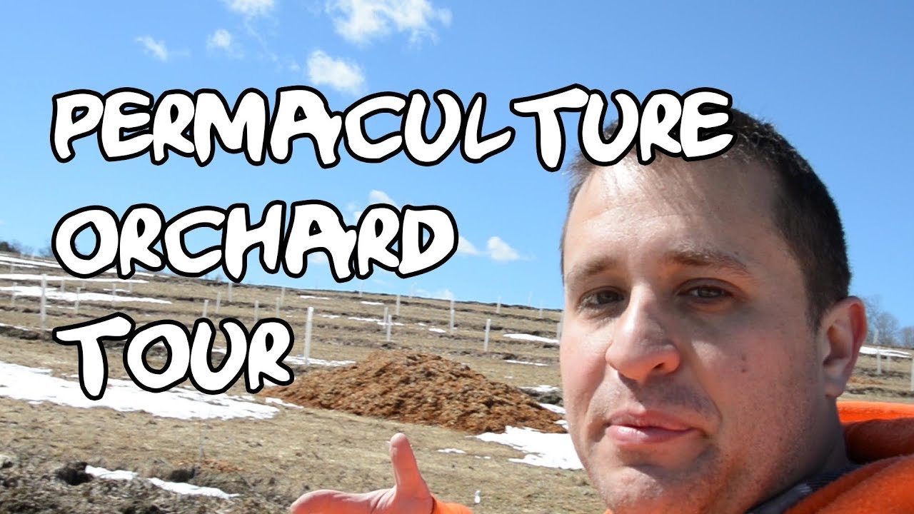 Vermont farmer explores incredible secrets of a permaculture orchard