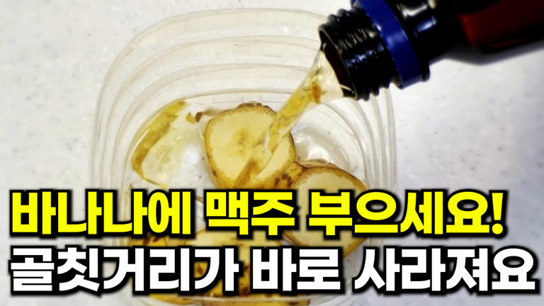 바나나 그냥 보관하지 마세요! ‘여기’를 자르면 여름철 골칫거리가 사라집니다