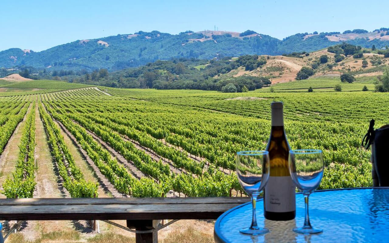 <p>Enjoy a Sonoma Valley wine experience with ease with this private all-inclusive wine tasting tour. Depart from your Bay Area accommodation in a private vehicle and make your way to Sonoma. Taste a variety of local wines at different wineries in the area and take a midday break for a picnic lunch.</p>