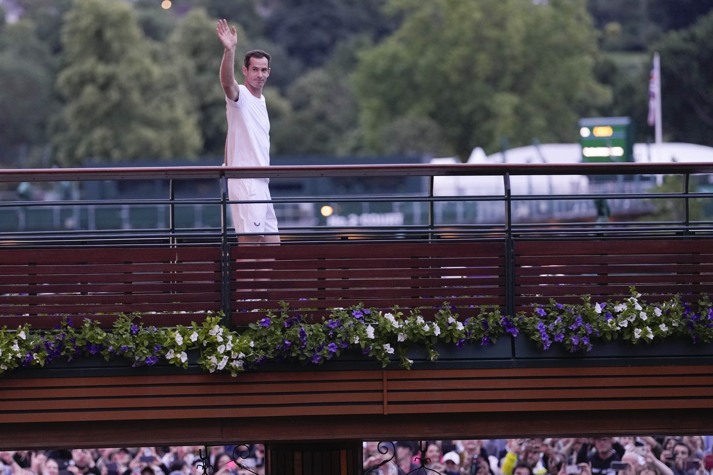 Andy Murray's Wimbledon Career Ends When Emma Raducanu Pulls Out Of ...