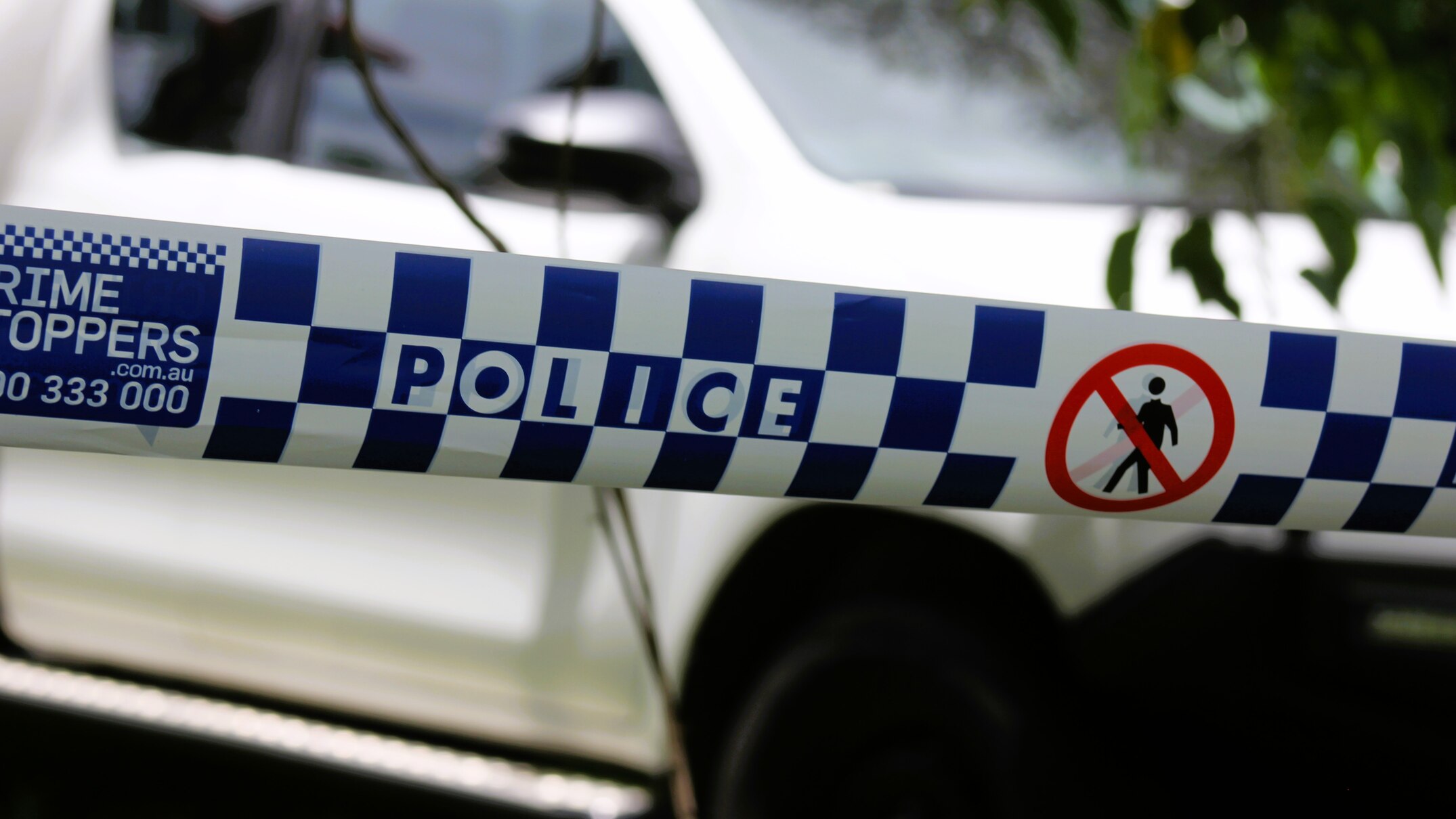 Sunshine Coast police declare crime scene after firefighters find body in shed