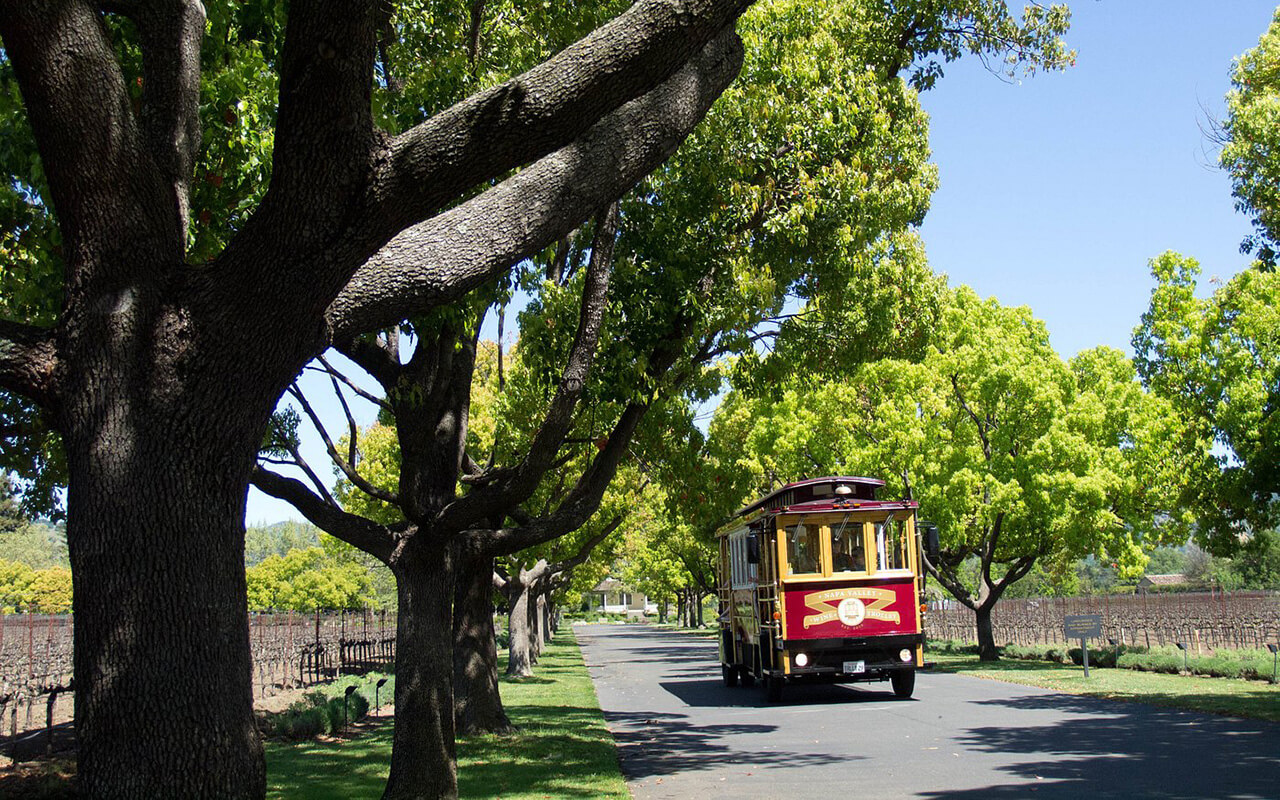 <p>The Sonoma Valley Wine Trolley is a hand-built replica of a San Francisco streetcar offering six-hour tours. The tour includes three winery visits, a boxed lunch, and a history lesson of the area. It's perfect for wine lovers wanting to explore Sonoma's sprawling estates and wine caves.</p>