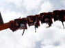 These two amusement park giants just merged. Rollercoaster fans are nervous<br><br>