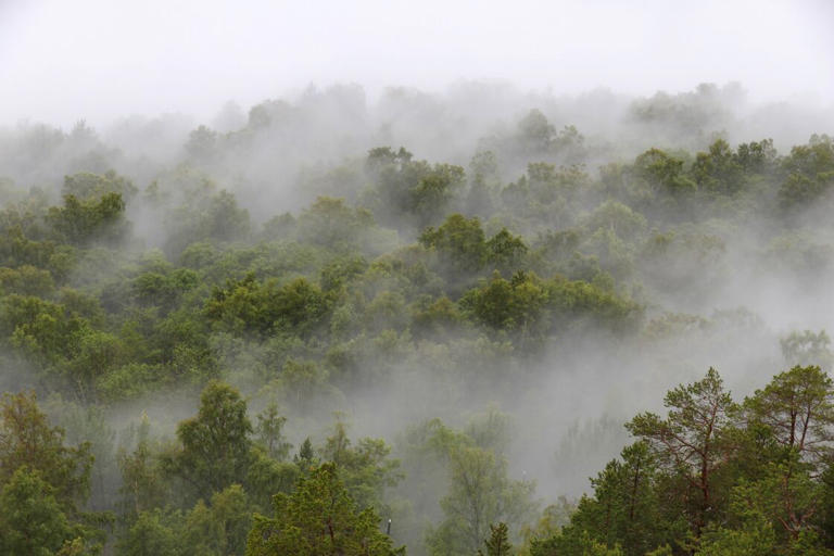 Météo : 10 questions insolites que vous vous posez (peut-être) sur les ...