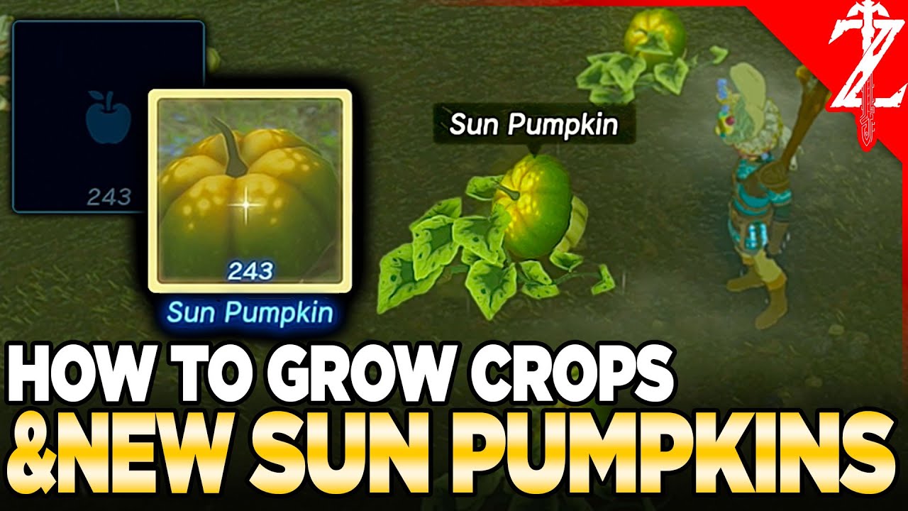 How to grow sun pumpkins and other crops in Tears of the Kingdom