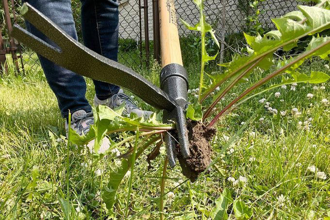 The best stand-up weed pullers to remove roots with ease, tested and ...