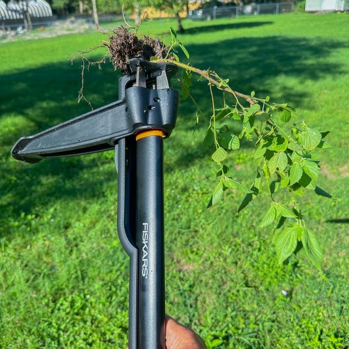 The best stand-up weed pullers to remove roots with ease, tested and ...