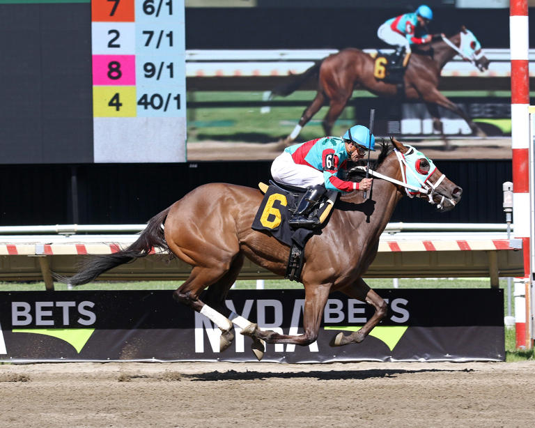 Jersey Horse Racing 2025 Events 