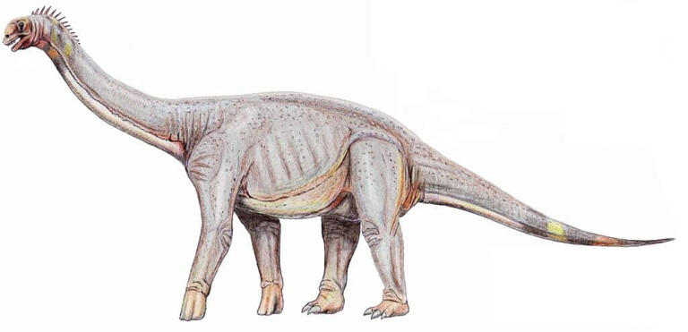 14 Dinosaurs That Lived in Texas (And Where to See Fossils Today)