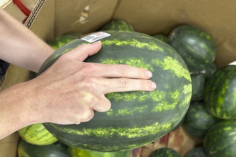 Two fingers on a watermelon.